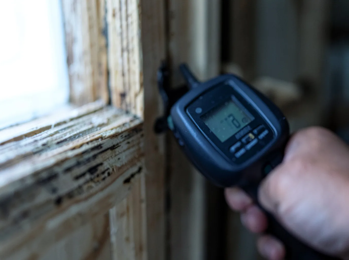 Moisture Inspection And Documentation in Chenango Forks, NY